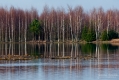 033_Biebrza - kwiecien 2011